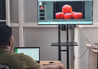 Display monitor